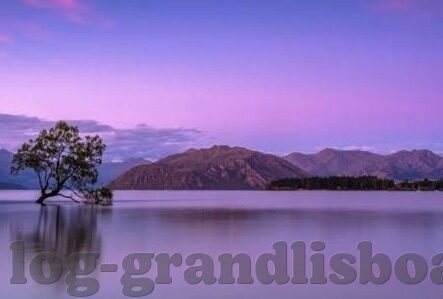乐鱼体育是什么东西-乐鱼体育，畅享健康快乐的水上运动世界